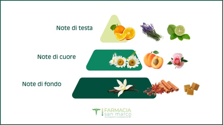 La Piramide Olfattiva