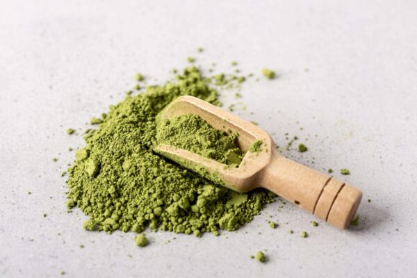 Moringa oleifera: benefici e controindicazioni