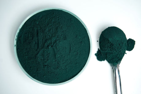 Spirulina: benefici e controindicazioni