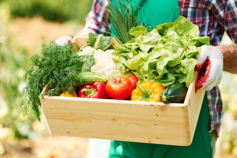 Cibo biologico: cosa significa, regolamento e pro/contro