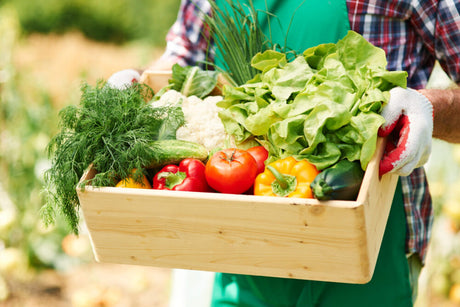 Cibo biologico: cosa significa, regolamento e pro/contro